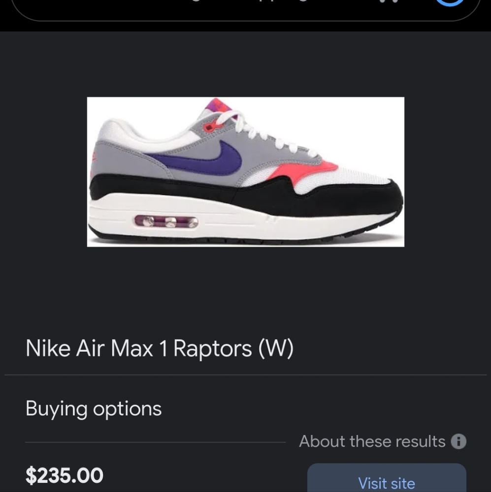 Nike Air Max 1 Raptors 11 (W)